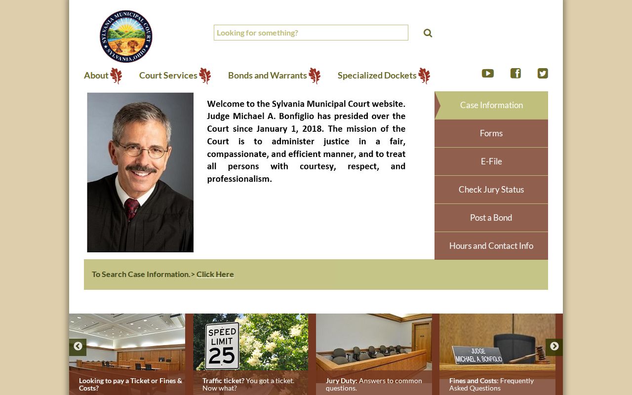 Sylvania criminal records municipal court information